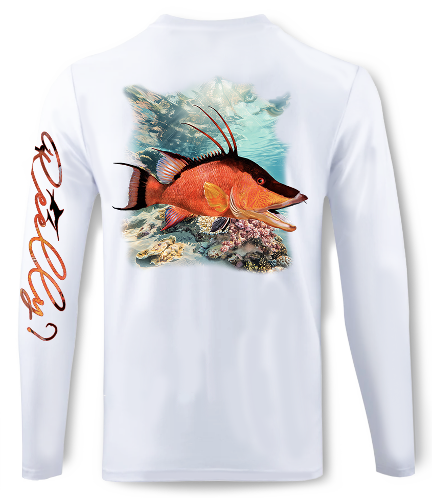 Hog Snapper (Boys)